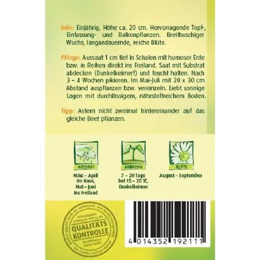 Zwergastern, Mischung, Bunte Astern für Garten & Balkon