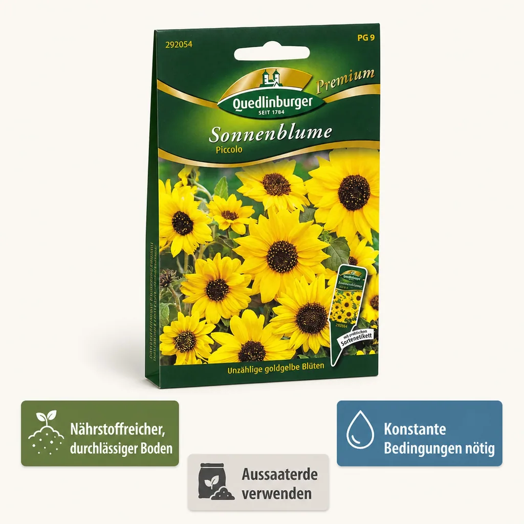 Sonnenblumen, Piccolo
