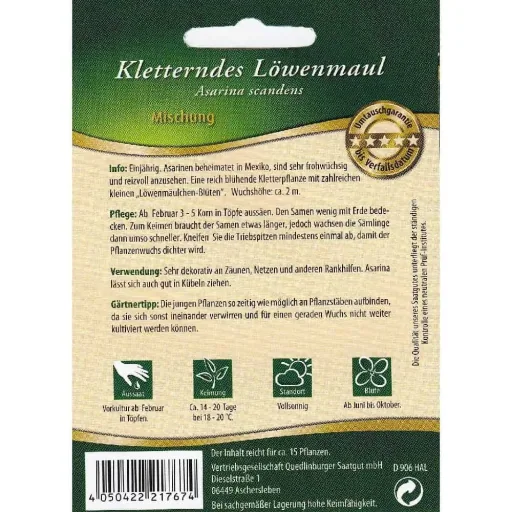 Kletterndes Löwenmaul, Asarina, Saatgut für Balkon & Garten