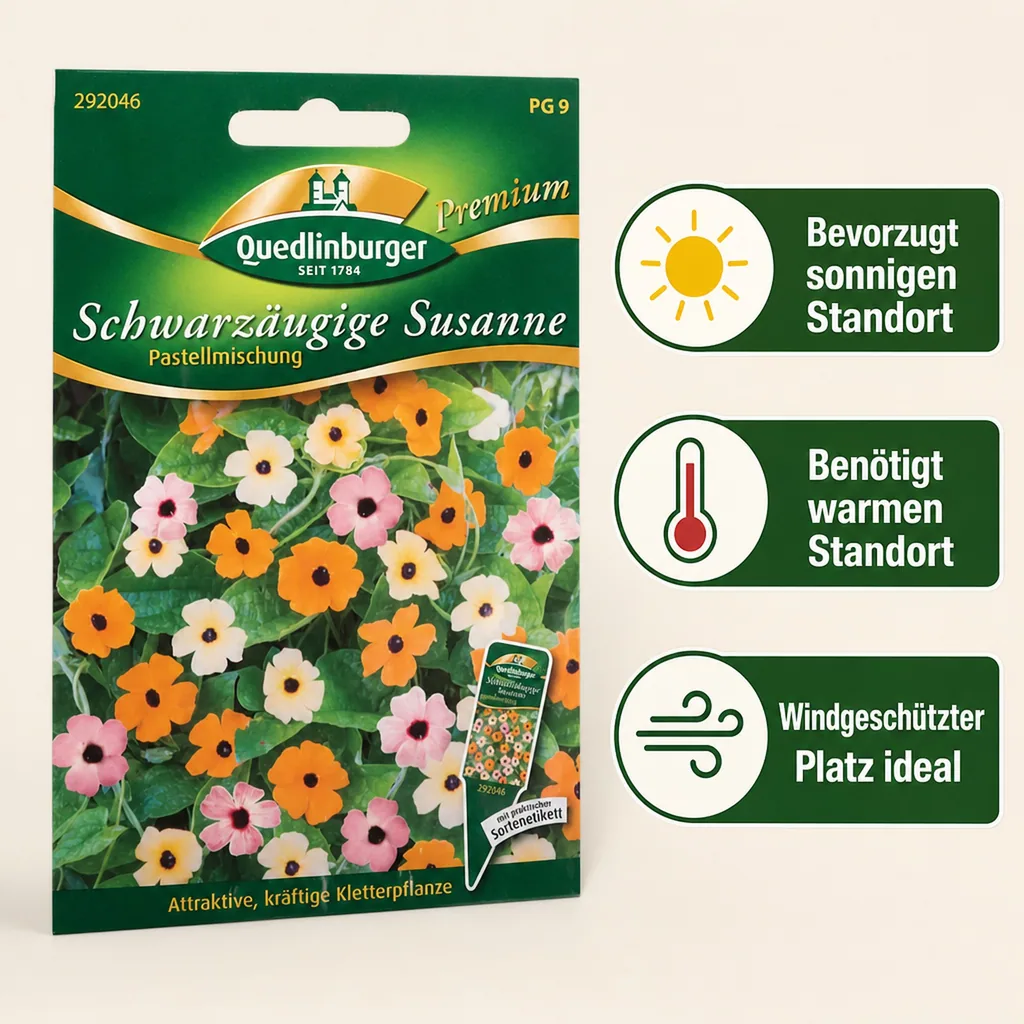Schwarzäugige Susanne Samen, Kletterpflanze Pastell Selektion, einjährige Kletterpflanze