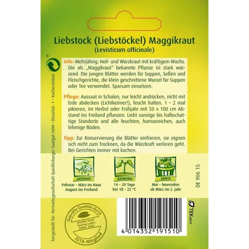 Maggikraut, Liebstöckel Samen, Heil- und Würzkraut