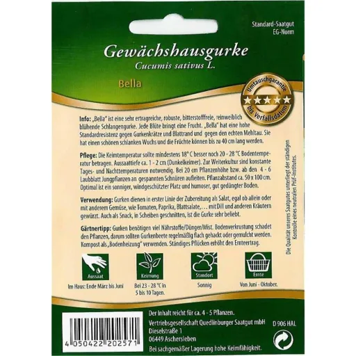 Gewächshausgurke, Bella F1, Schlangengurke, ertragreich