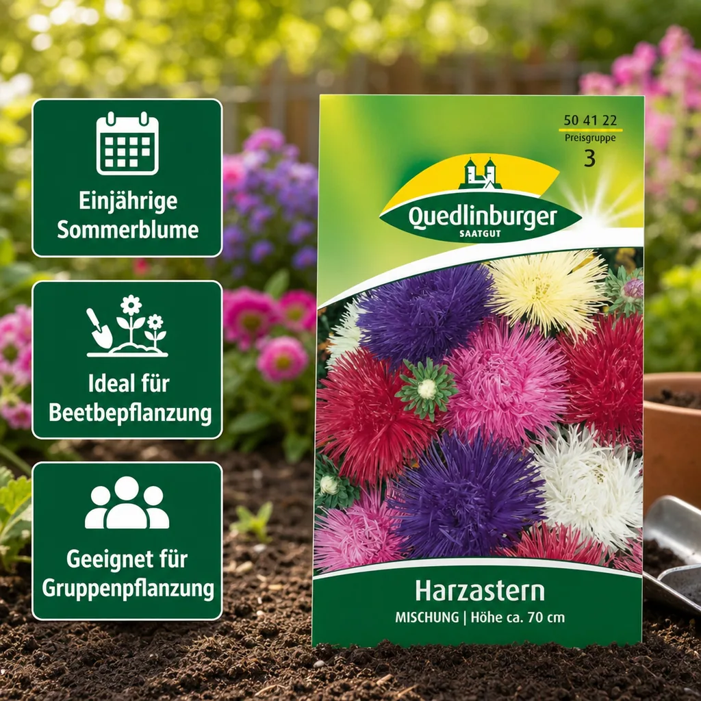 Aster Samen, Sommerastern Samen, Mischung, Schnittblumen geeignet