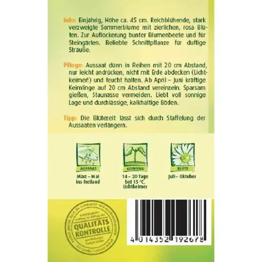 Schleierkraut rosa, Saatgut, Sommerblume für Beet & Steingarten