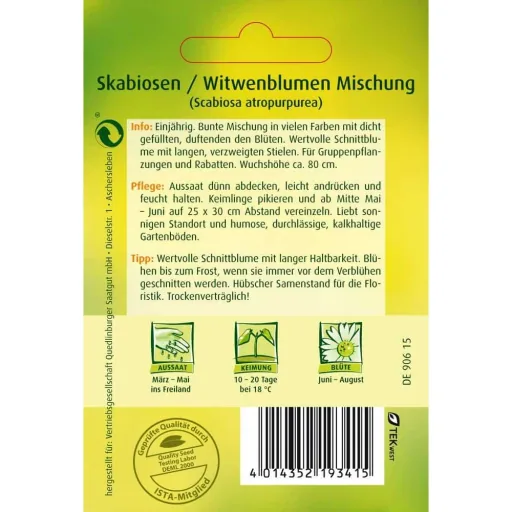 Skabiose kaufen, Witwenblume, bunte Gartenblumen, duftende Blüten