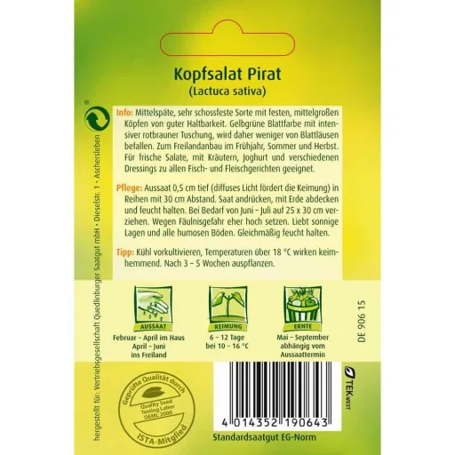 Kopfsalat, Sorte Pirat, Salat pflanzen
