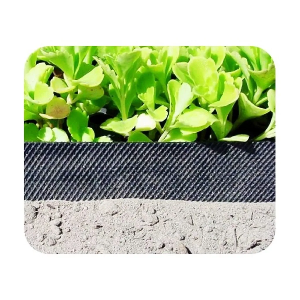 Rasenkantenband aus Kunststoff 10cm x 6m | Rasenkanten | Beeteinfassung | Beetumrandung | Beetbegrenzungen