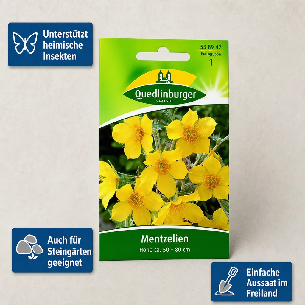 Mentzelia Lindleyi, Goldstern Samen, Bienenweide, duftende Sommerblume