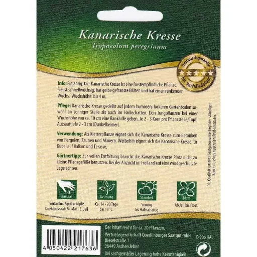 Kletterpflanze Samen, Kanarische Kresse, schnellwachsend, gelb blühend