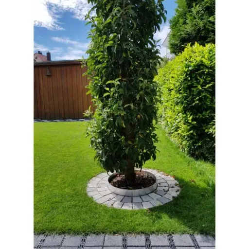 Ultra Starke Alu Rasenkanten Höhe: 10-14-24 cm, Länge: 1- 30 m | Beeteinfassung | Beetumrandung | Beetbegrenzungen, Breite: 24 cm; Menge: 10 Stück