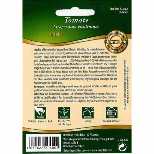 Tomatenpflanzen Intakt F1, robuste, resistente Tomatensorten