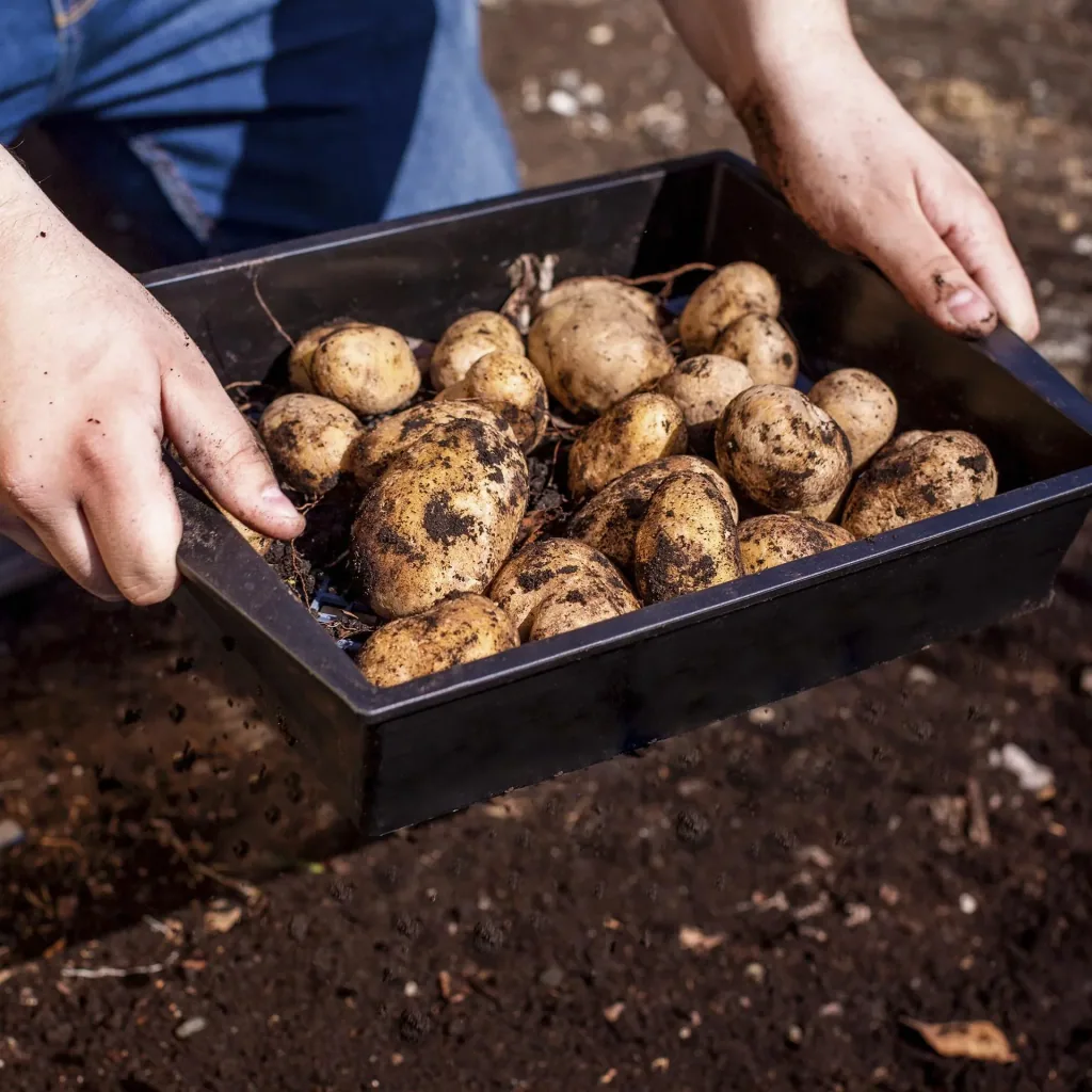 XL Gartensieb 2 in 1 anpassbar