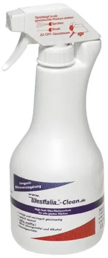 Fensterreiniger Clean,500 ml mit Vliestuch