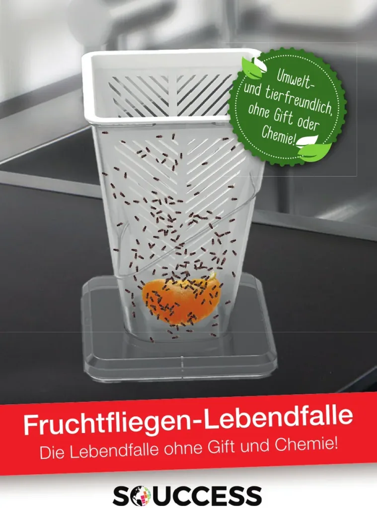 Fruchtfliegenfalle - Lebendfalle