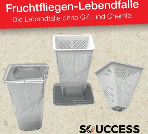 Fruchtfliegenfalle - Lebendfalle
