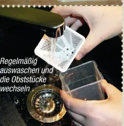 Fruchtfliegenfalle - Lebendfalle