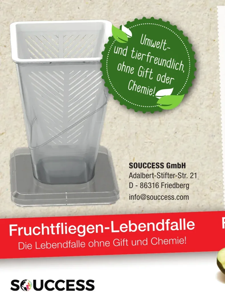 Fruchtfliegenfalle - Lebendfalle