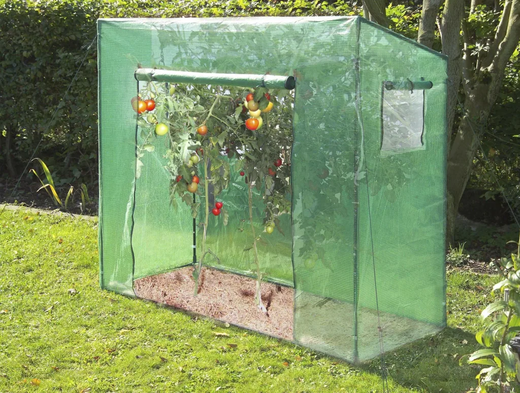 Tomaten Gewächshaus "Groß", ca. 200 x 77 x 170 cm, LxBxH