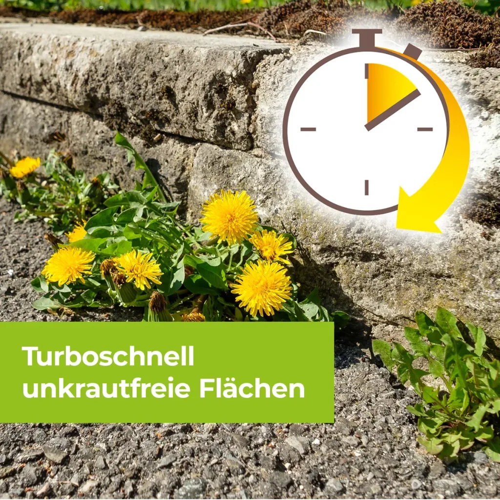 Permaclean Grundstoff Acetum 5 L
