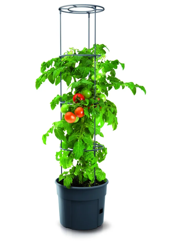 Anzuchttopf für Tomaten "Grow 2", Ø 392 mm, anthrazit