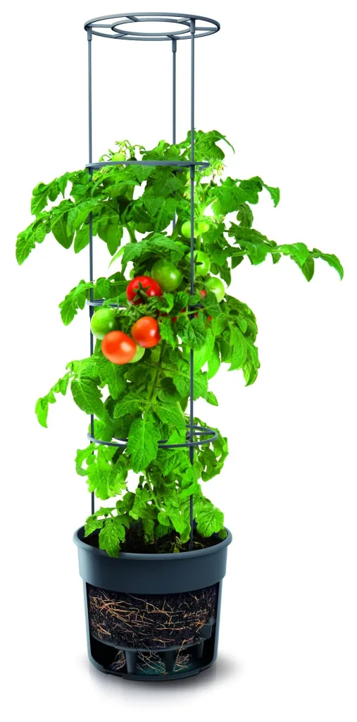 Anzuchttopf für Tomaten "Grow 2", Ø 392 mm, anthrazit