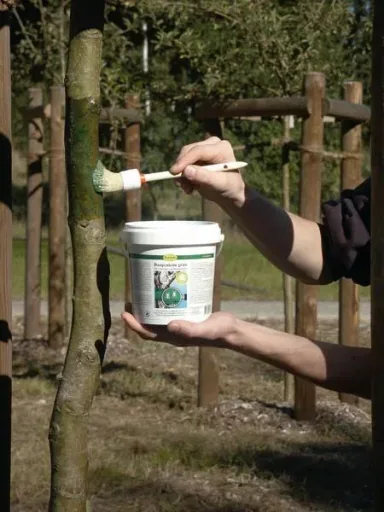 Raupenleim gegen Birnen - Knospenstecher, Schneespanner 500 g