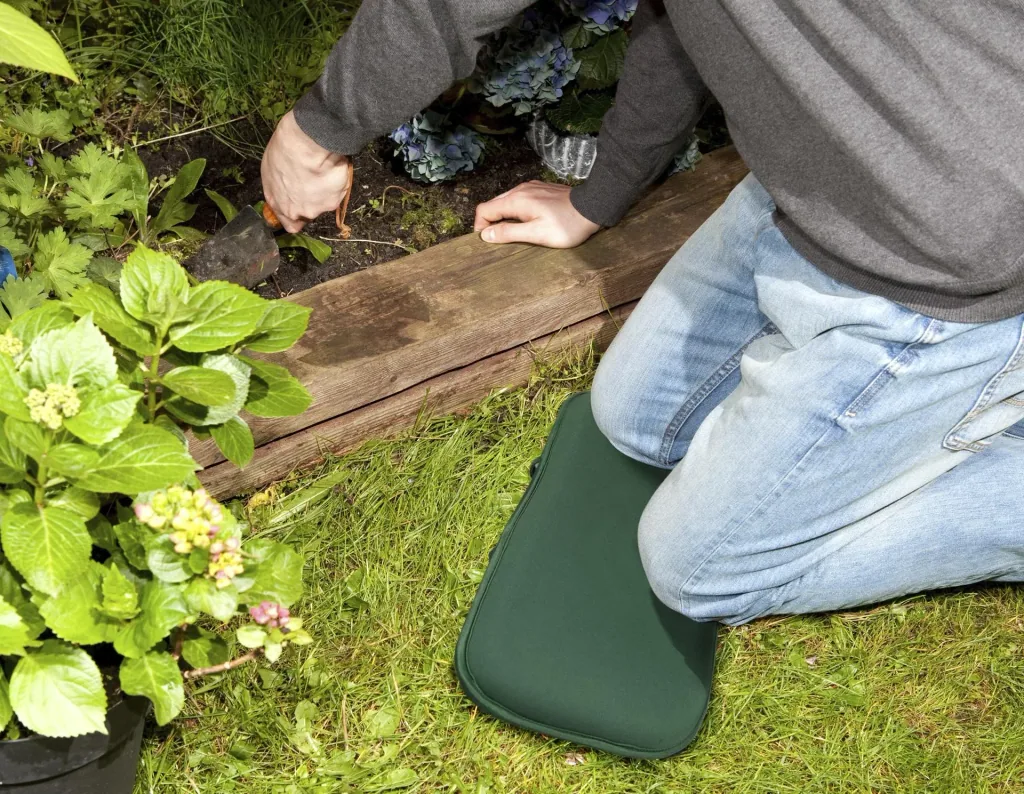 Comfort-Kissen 2 in 1