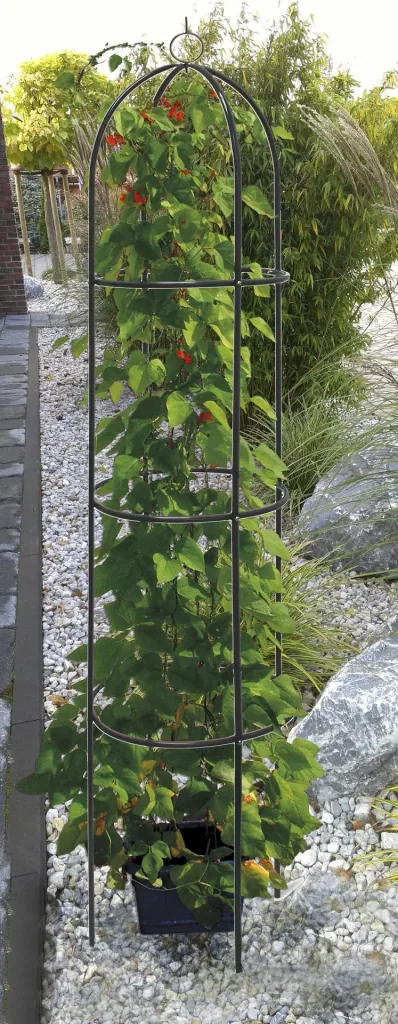 Rank-Obelisk Ø 40 x 190 cm