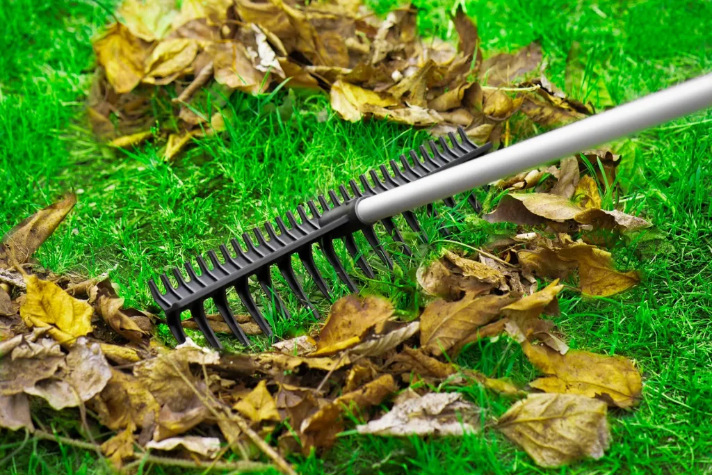 2 in 1 Gartenharke XXL (Griff nicht enthalten)