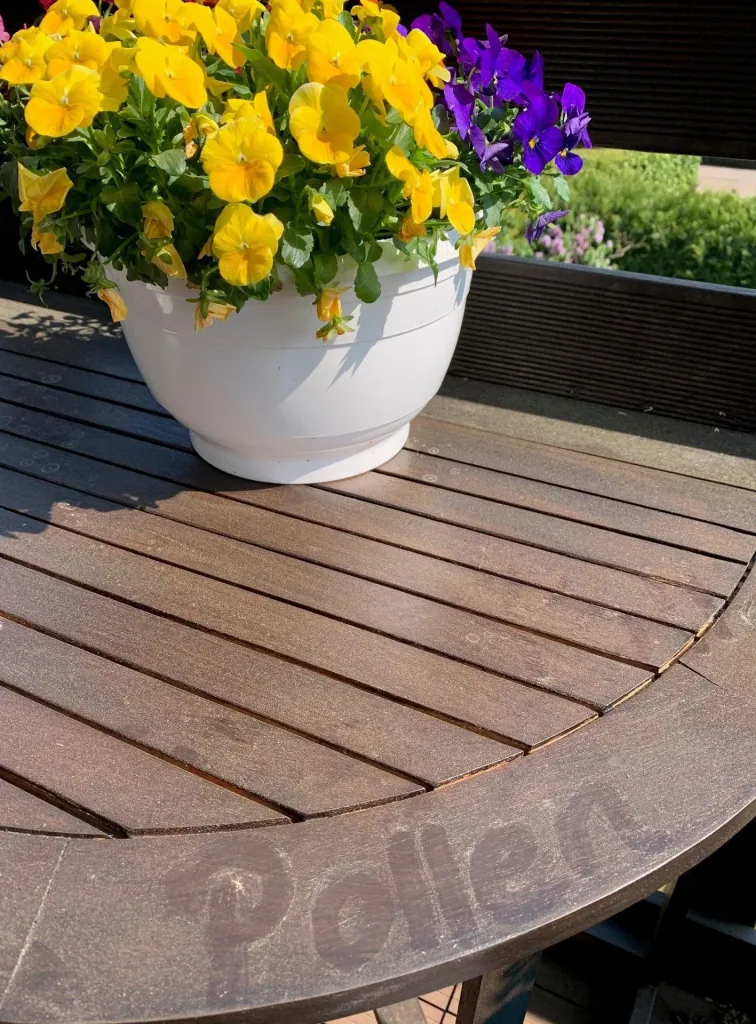 Hai Zauber Gel, Inhalt 1000 ml - auch für Terrassenmöbel