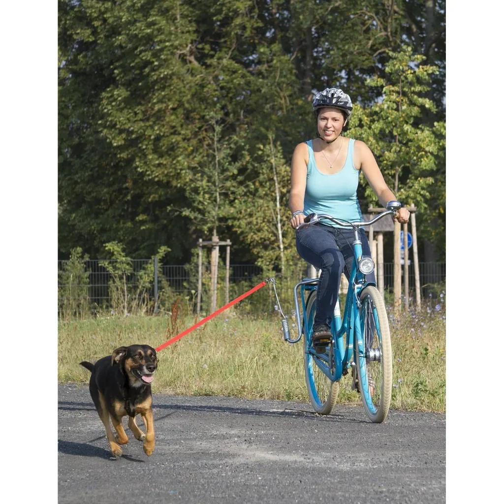 Hundeleine-Führungsstange für das Fahrrad