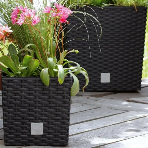Blumentopf Rato Niedrig Umbra 32x32x33cm