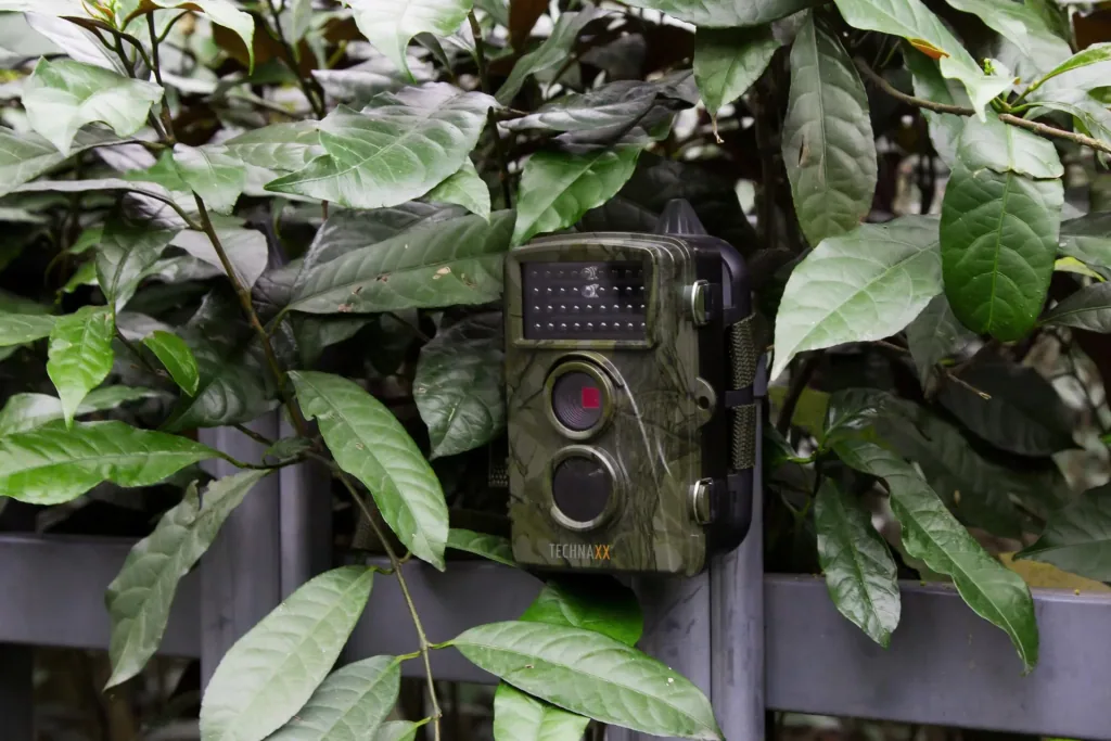 Full HD Wild- Überwachungskamera TX-69 für den Innen- und Außenbereich