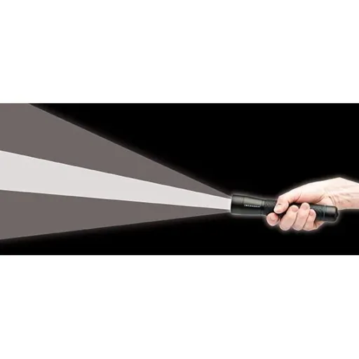Aufladbare Taschenlampe Flash-300 300lm