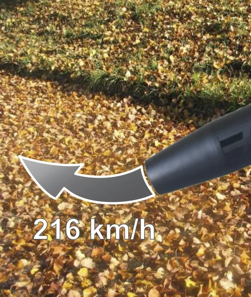 Akku-Laubbläser „LBC 40-60“, 36 Volt