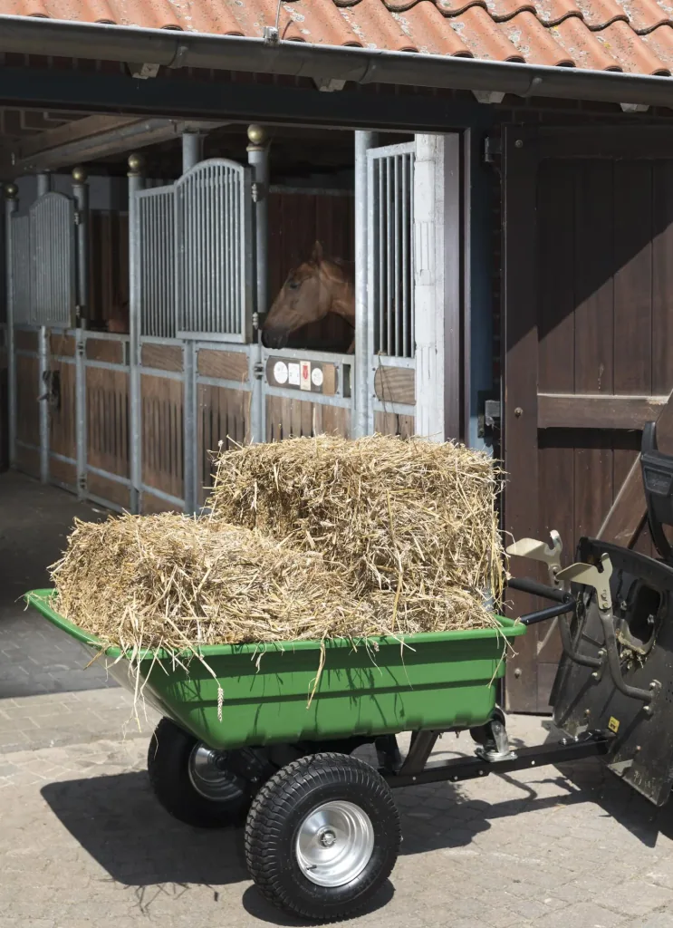 Gartenwagen GGW 501