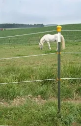 Metallpfahl T-Post, 152 cm, 200 Stück