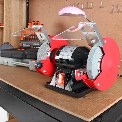 Schleifmaschine mit 2 Schleifscheiben 120W - DBSM004