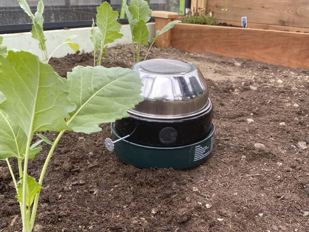Frostwächter "Warmax Antifrost" - für das Gewächshaus, Frühbeet und die Aufzucht