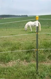 Metallpfahl T-Post, 167 cm, 60 Stück