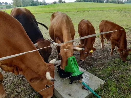 Weidepumpe P100 mit Doppelhub und 1"-Anschluss