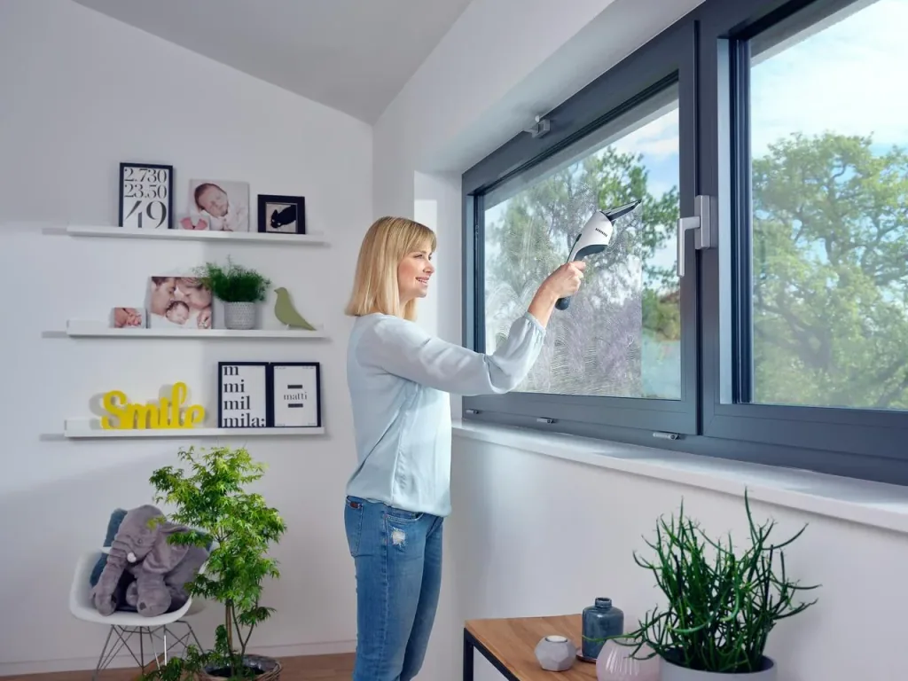 Fenster- und Badsauger "Nemo"