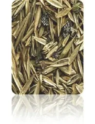 TerraVital Bequem&Wohlfühl Rasen Samen Mix - 3 kg