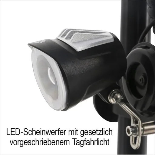 E-Roller "Revoluzzer" Safety Plus 20 km/h inklusive Blinkanlage, Gepäck-Case und Lithium-Akku schwarz