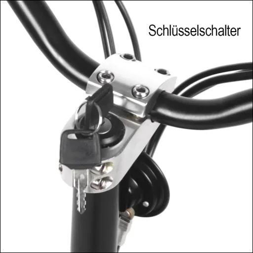 E-Roller "Revoluzzer" Safety Plus 20 km/h inklusive Blinkanlage, Gepäck-Case und Lithium-Akku schwarz