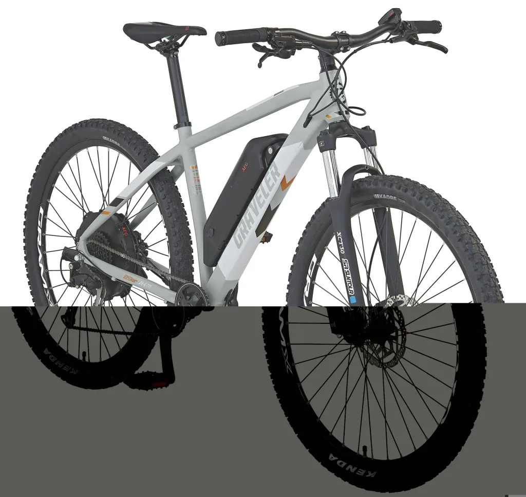 Unisex E-Bike MTB 29 Zoll, Rahmengröße 48 cm, 9-Gang Kettenschaltung, grau matt, GRAVELER 22.EMM.20