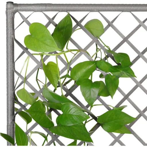 Polyrattan Pflanzgefäß mit Spalier grau
