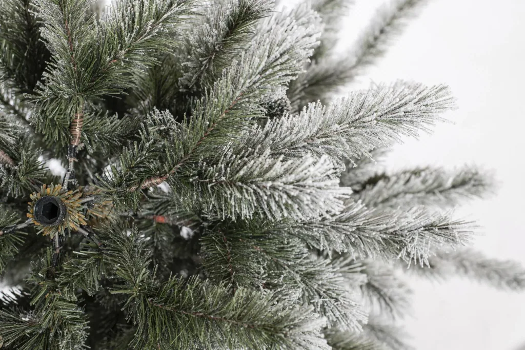 Weihnachtsbaum Cedar Kiefer Frost 150 cm