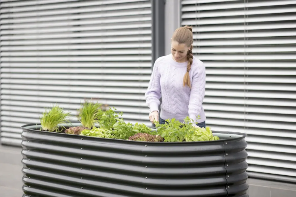 Westmann Hochbeet Grow Faster, 240×80×82 cm, Anthrazit – Metall aus verzinktem Wellblech