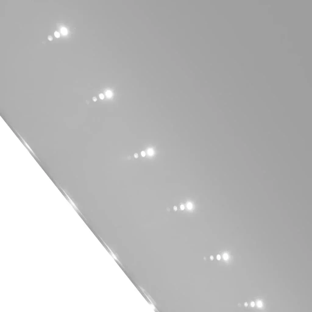 Badezimmerspiegel mit LEDs 60x80 cm